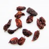 Satvik world Hottest Chilli Bhut Jolokia Chilli Dried (Whole), 25g