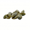 Satvik Spiritual Kaudi Conch (Shell/Sacred Shankh). The possession of Kaudi Conch is considered good for wealth and brings finan