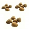 Satvik Whole Pooja Supari (Betel Nut):  1 packet contains 5 pieces. Betel Nuts for Puja.
