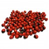 Satvik Red Gunja Beads, Laal Rakht Gunja Seeds, for Puja, 10g